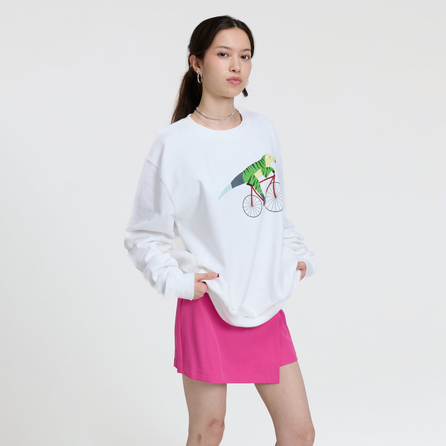 A Dinosaur Riding a Bicycle Sweatshirt